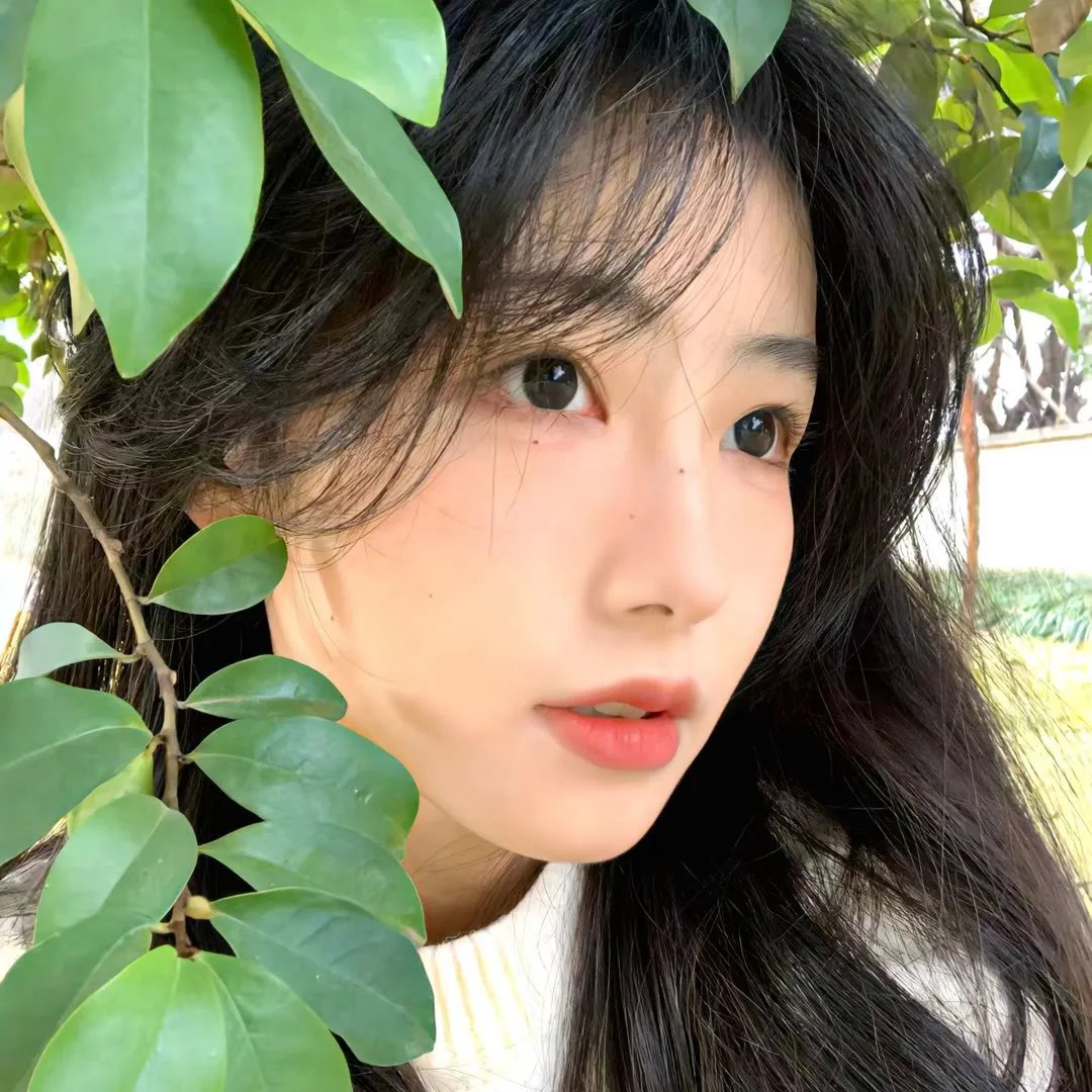 飘飘欲仙